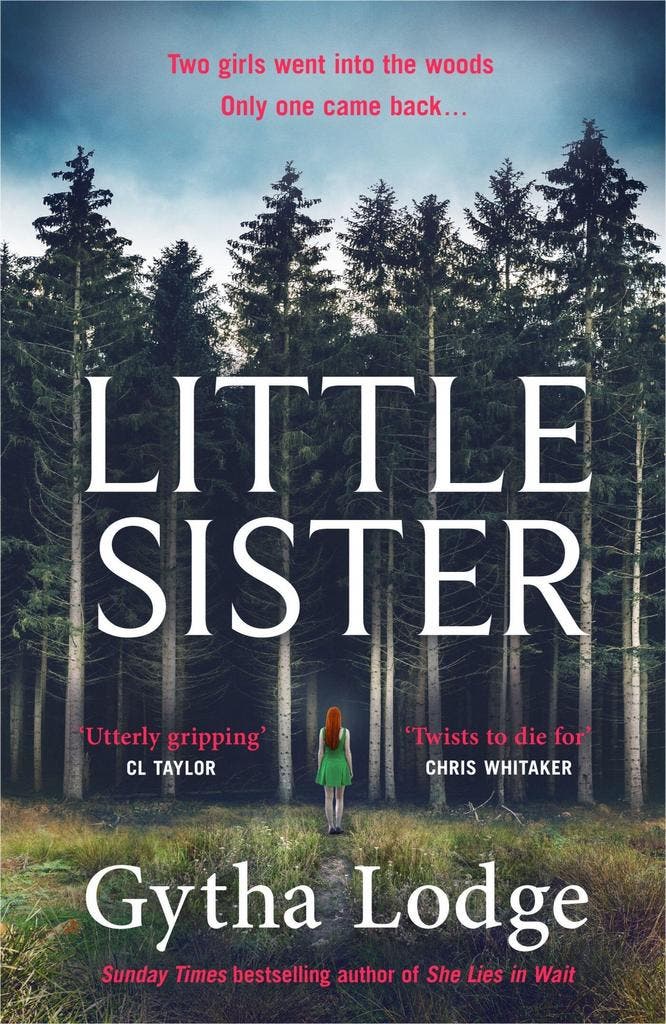 Little Sister 9781405947039 Gytha Lodge, Boeken, Taal | Engels, Gelezen, Verzenden