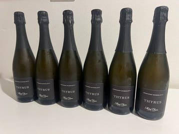 Leonardo Bussoletti - Thyrus - Ombrie Metodo Classico Extra, Verzamelen, Nieuw