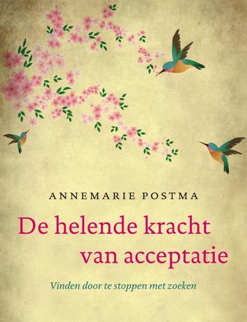 De helende kracht van acceptatie 9789022998618, Verzenden, Annemarie Postma