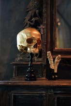 NO RESERVE PRICE - Stunning Replica Of Upper Human Skull on