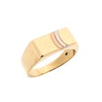 Tricolor gouden zegelring, Handtassen en Accessoires, Ringen, Gebruikt, Overige kleuren, 19 tot 20, Heer