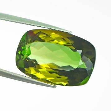 1 pcs Groen, Geel Toermalijn - 14.29 ct - nternational, Nieuw