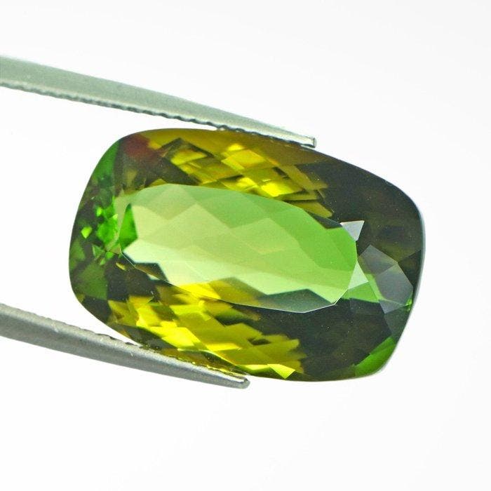 1 pcs Groen, Geel Toermalijn - 14.29 ct - nternational, Handtassen en Accessoires, Edelstenen