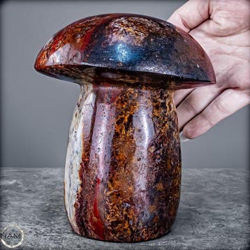 Eisenachat Pilz – Fascinerende natuurkunst in uitzonderlijke