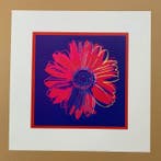 Andy Warhol (after) - Daisy, 1982 - Pop Art Print - 50,6 x