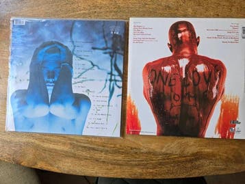 Eminem, DMX - The Slim Shady LP / Flesh Of My Flesh, Blood, Cd's en Dvd's, Nieuw in verpakking