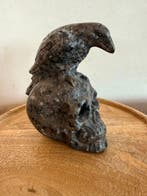 yooperlite Schedel - Hoogte: 13,5 cm- 1168 g - (1), Verzamelen