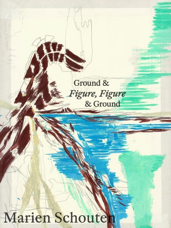 Ground & Figure, Figure & Ground | Nieuw, Boeken, Overige Boeken, Nieuw, Verzenden