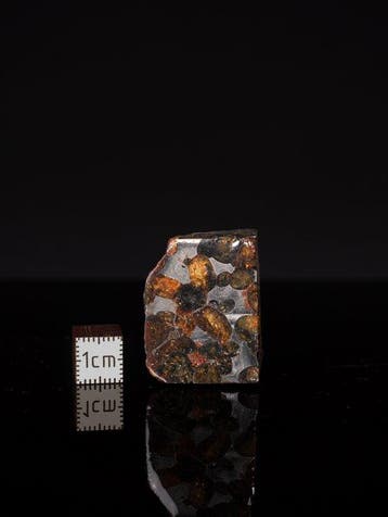 Météorite de Sericho Pallasites - 25 g - (1)