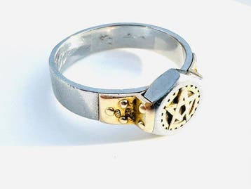 Ring - 14 karaat Geel goud, Witgoud, Nieuw