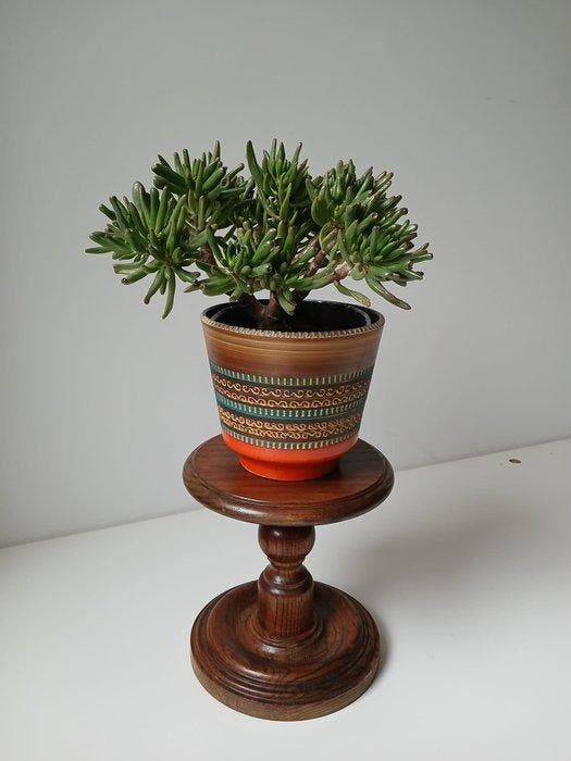 Table à plantes - Chêne - Antiquité, Antiek en Kunst, Curiosa en Brocante