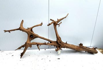 Osaka XL114 uniek aquarium decoratie hout  175x75x30 cm, Ophalen of Verzenden, Plant(en), Steen of Hout