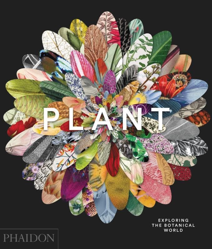 Plant | Phaidon Editors; James Compton; Martyn Rix | Nieuw, Livres, Livres Autre, Envoi