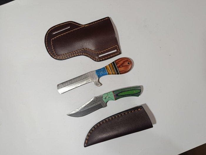 Keukenmes - Amerikaanse Keuken-, Tafel- en Huidsnijmessenset, Antiek en Kunst, Antiek | Keukengerei