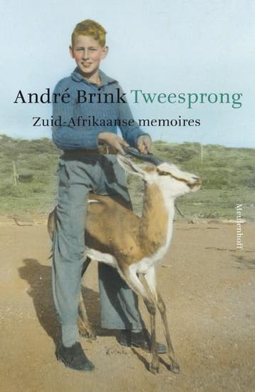 Tweesprong 9789029083690 André Brink, Verzenden, Gelezen, André Brink