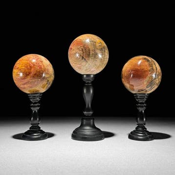 Magnifique ensemble de 3 sphères en bois pétrifié sur des