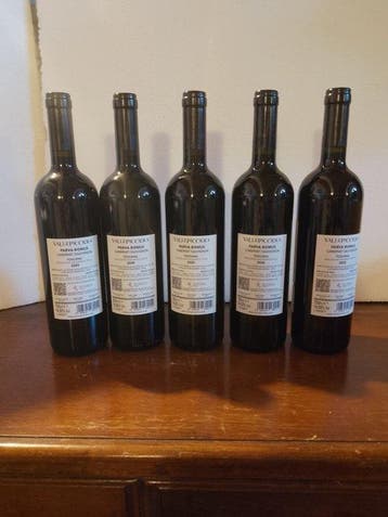 2020 Vallepicciola, Parva Domus - Toscane - 5 Bouteilles, Nieuw