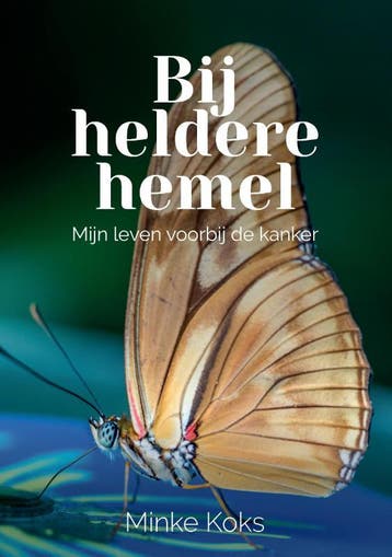 Bij heldere hemel 9789464066067 Minke Koks, Verzenden, Minke Koks