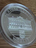 Allemagne. Silver medal Schloss Wörlitz 20g (.999) (Sans