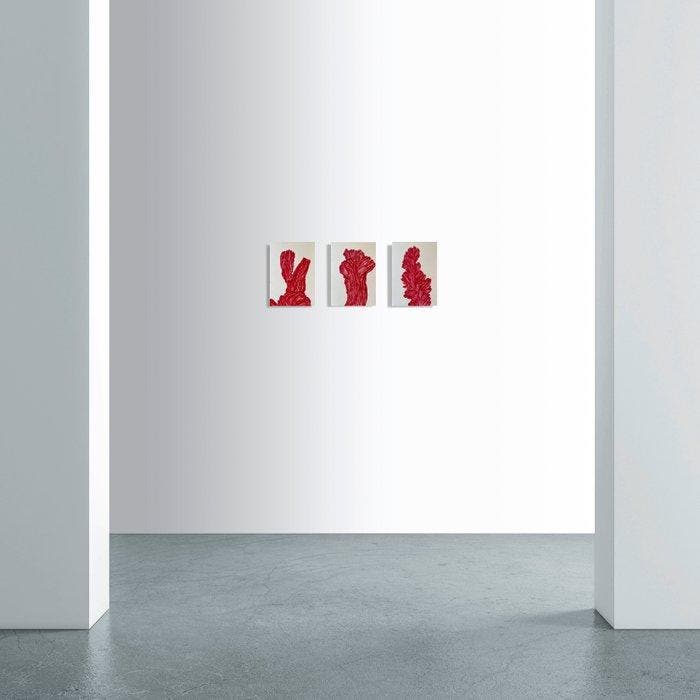 N. Magro - Collectables: “ Three bold cacti (in red):, Antiek en Kunst, Kunst | Designobjecten