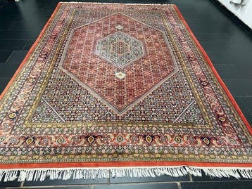 Bidjar - Vloerkleed - 350 cm - 245 cm, Nieuw