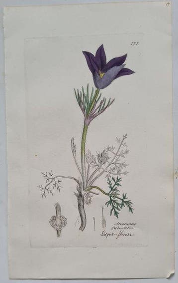 James Sowerby - 20 deels handgekleurde lithos