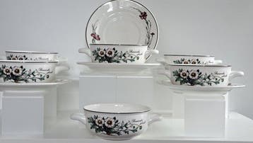 Villeroy & Boch - Tafelservies (12) - Botanica -