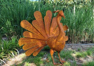 Beeldje - Rusty Peacock - IJzer, Metaal