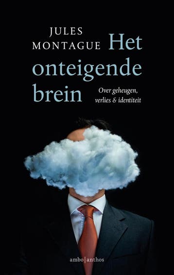 Het onteigende brein 9789026344862 Jules Montague, Verzenden, Jules Montague