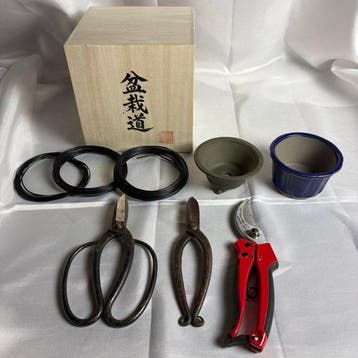 Vintage Japanse Bonsai-meester gereedschapset met 2