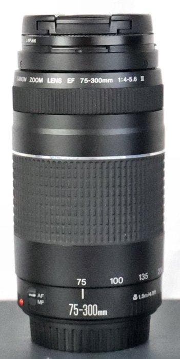 Canon Canon Zoom Lens EF 75-300mm 1:4-5.6 III Cameralens
