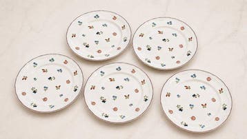 Villeroy & Boch - 5 Grandes Assiettes - Service de table (5)