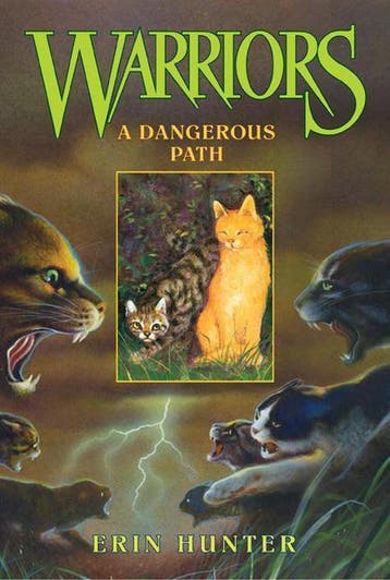 A Dangerous Path 9780060525651 Erin Hunter, Verzenden, Gelezen, Erin Hunter