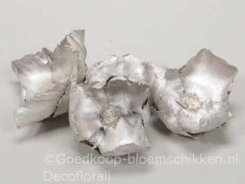 Palm Cup White Pearl 10 stuks, Nieuw