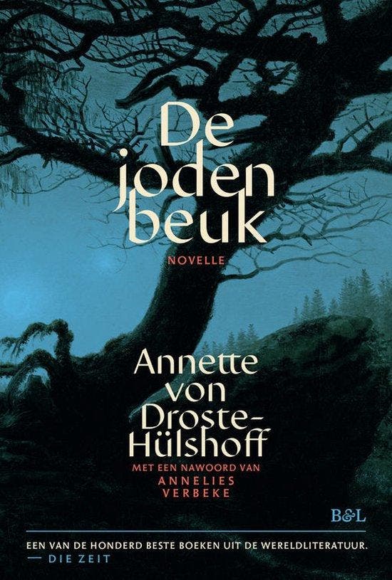 De jodenbeuk 9789493387133 Annette von Droste-Hülshoff, Boeken, Romans, Zo goed als nieuw, Verzenden