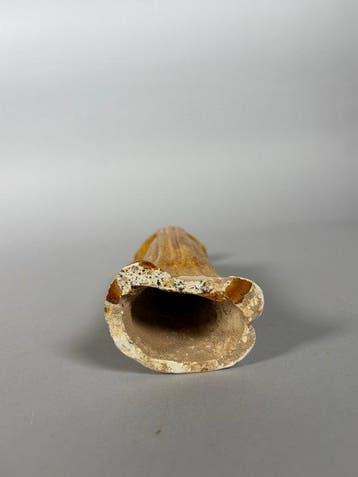 Chinois ancien, empire unifié des Tang Terre cuite Mingqi -
