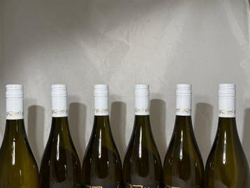 2023 Franz Haas Lepus - Trentino Alto Adige - 6 Flessen