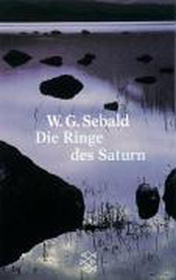 Die Ringe DES Saturn 9783596136551 W G Sebald, Verzenden, Gelezen, W G Sebald