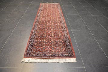 Bidjar - Loper - 262 cm - 72 cm, Nieuw