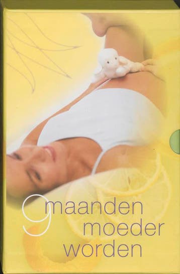 9 maanden moeder worden 9789058971647 L. Cornelissen, Verzenden, Gelezen, L. Cornelissen