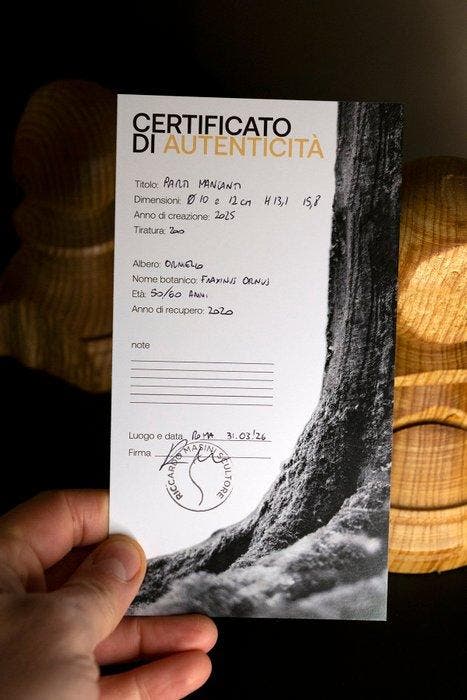 Riccardo Masini - Sopravvissuti, Antiek en Kunst, Kunst | Designobjecten