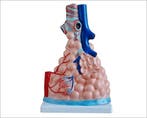Anatomisch model vergrote longblaasjes ST-ATM 83, Verzenden