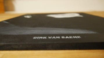Robin Troost - de Zes: Dirk Van Saene, Antiquités & Art, Art | Peinture | Moderne