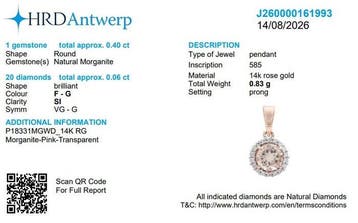 Sans prix de réserve - Pendentif - 14 carats Or rose -