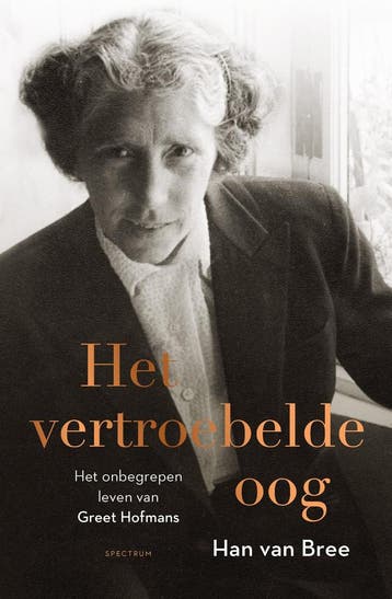 Het vertroebelde oog (9789000354511, Han van Bree), Verzenden