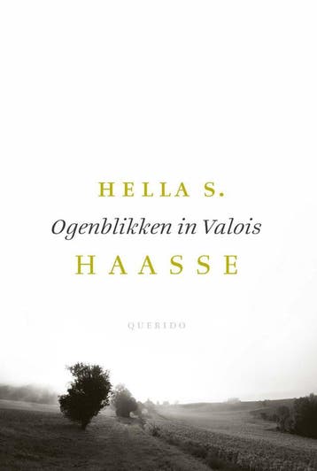 Ogenblikken in Valois (Goed), Verzenden, Nieuw