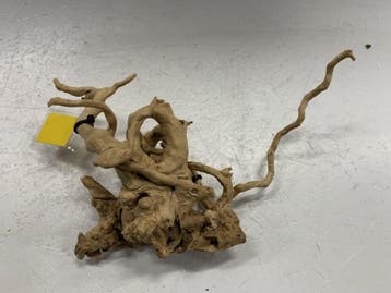 Spiderwood Selected SW97 - 35x15x16cm (Spider wood), Ophalen of Verzenden, Nieuw, Plant(en), Steen of Hout