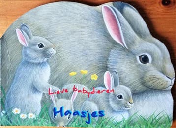 Kleine kartonboekjes: Haasjes 9789086682775, Verzenden, Gelezen
