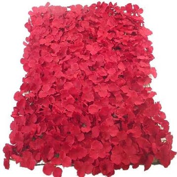 Flowerwall 40x60 cm Rood Kant en Klaar, Nieuw