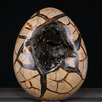 Madagaskar Septarian Ei-Geode - Diepe holte van fonkelende